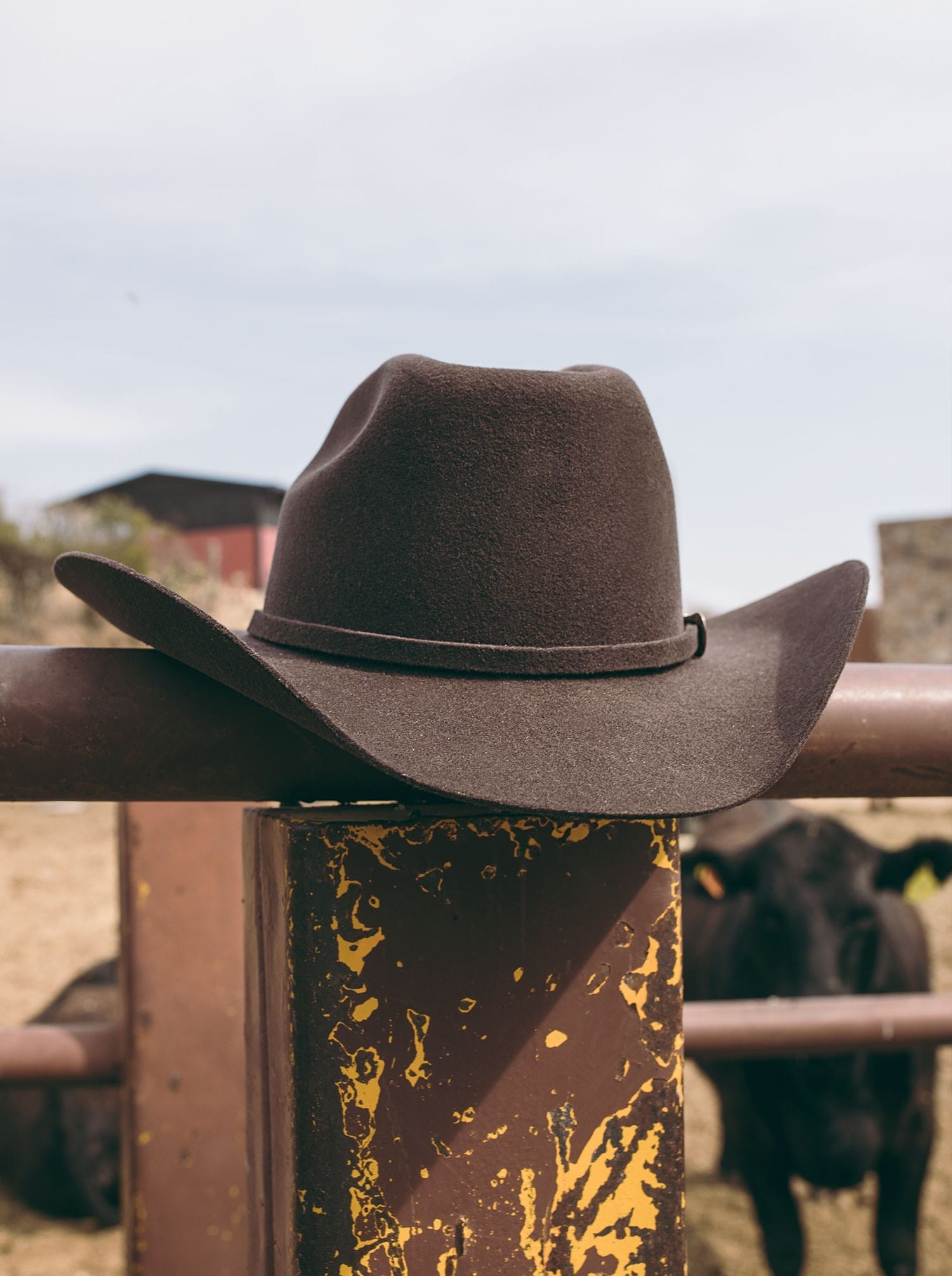 Sombrero Unisex Vaquero de Lana color Chocolate Siete Leguas Est. Texana