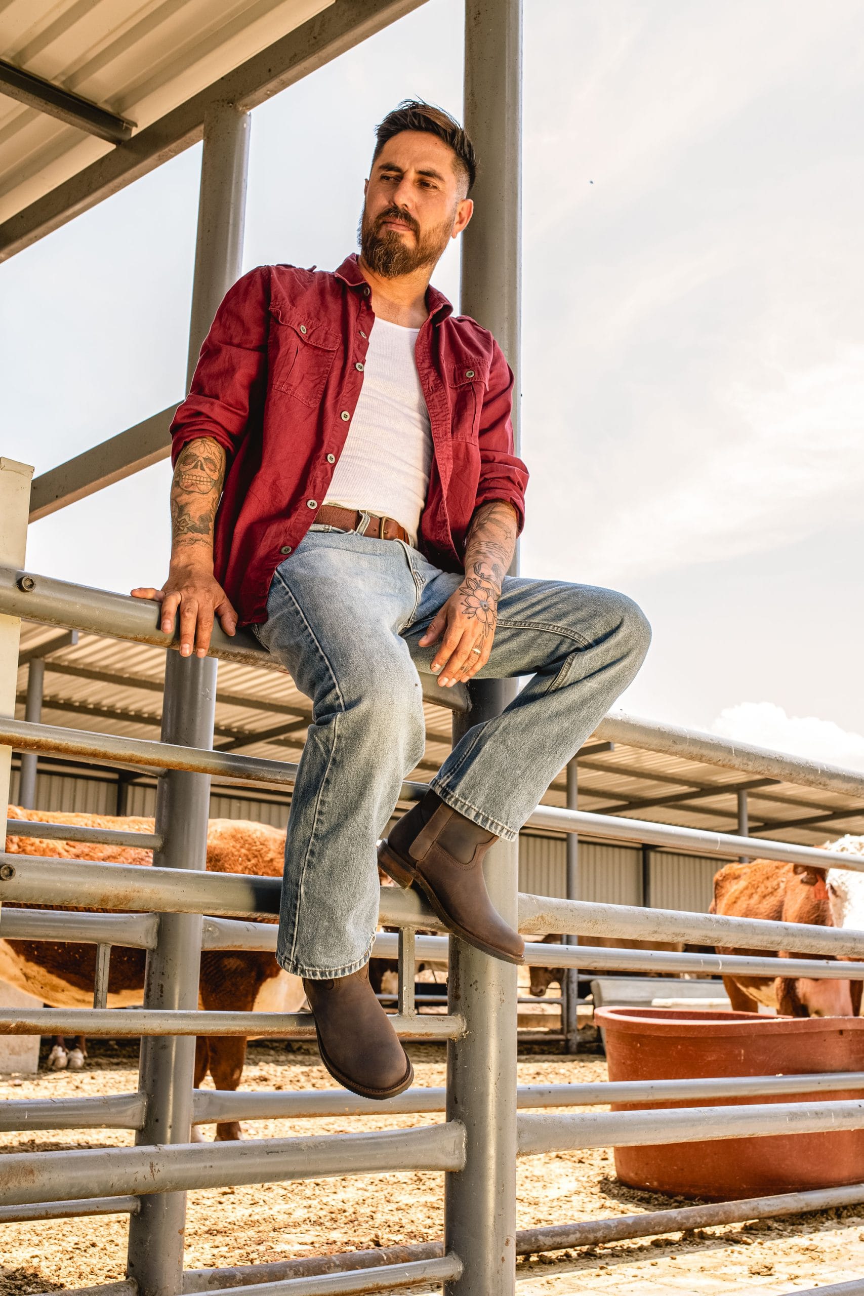 Zippered Roper Boot in Crazy Brown Style 1677