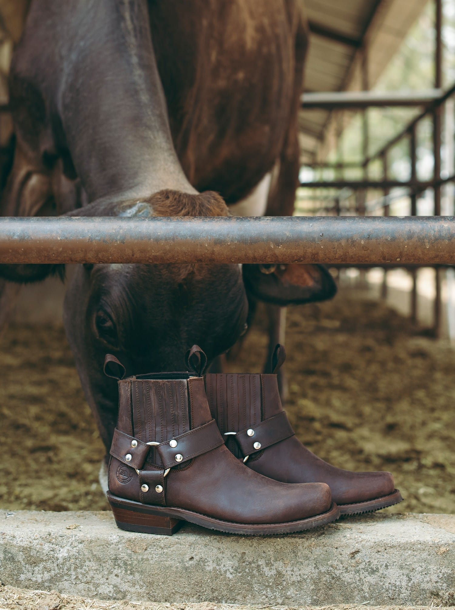 Botin Biker Siete Leguas Crazy Café Est. 3600