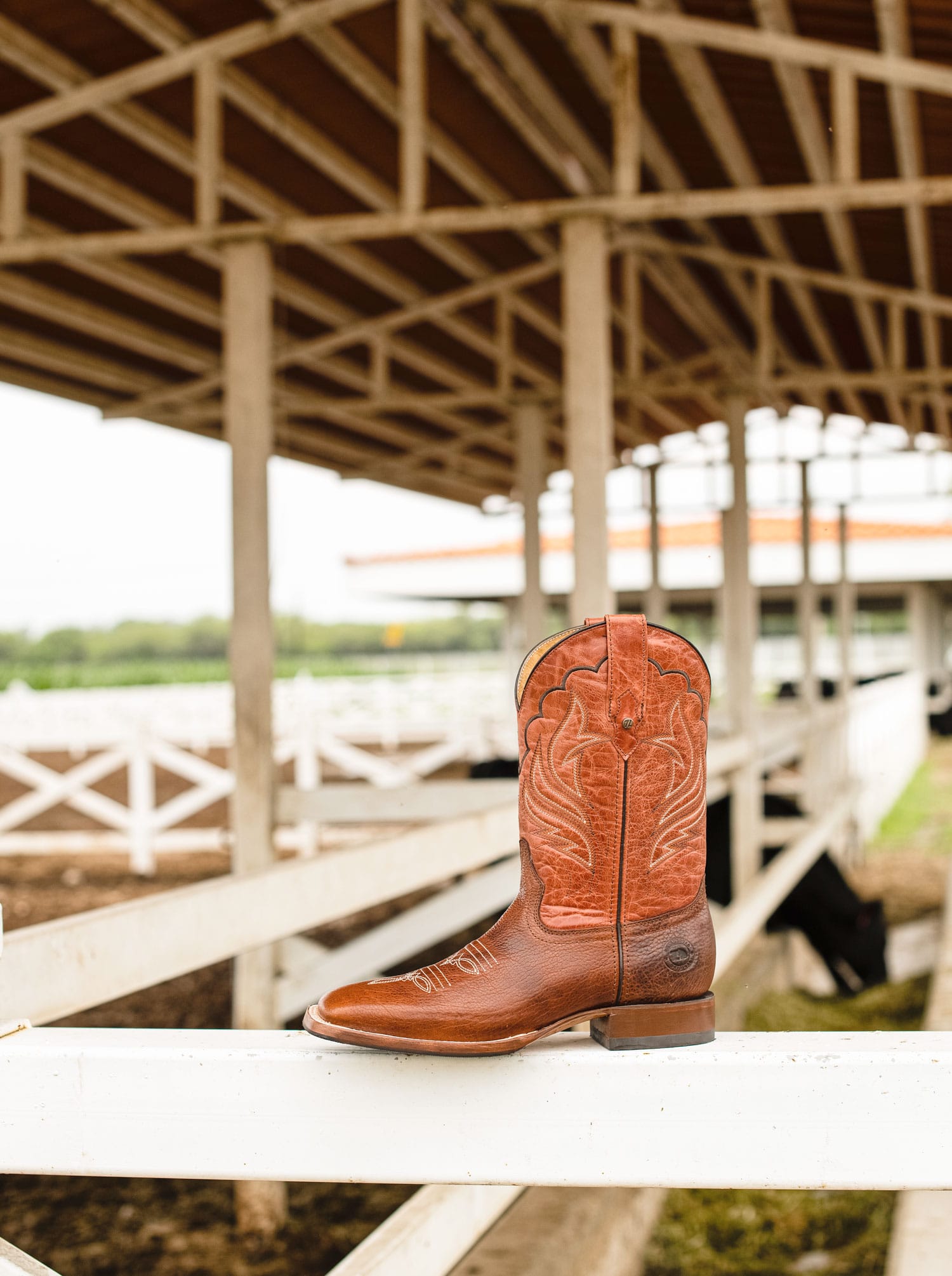 Bota Rodeo con Suela Antiderrapante Bisonte Americano Whiskey Estilo 1553