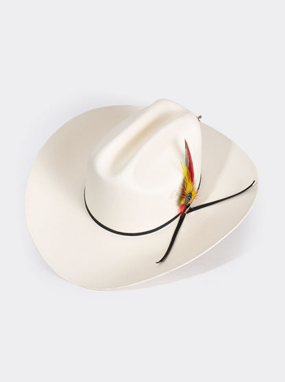 Unisex Cowboy Hat, Silverado Style with Feather, Master 1000X